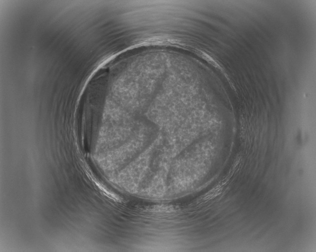 X0000055971029200509091438