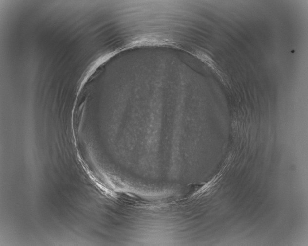 X0000055971030200509091438