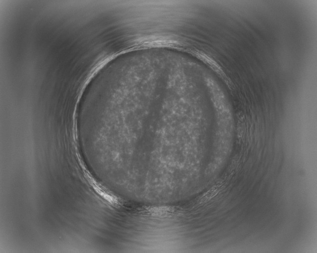 X0000055971031200509091438