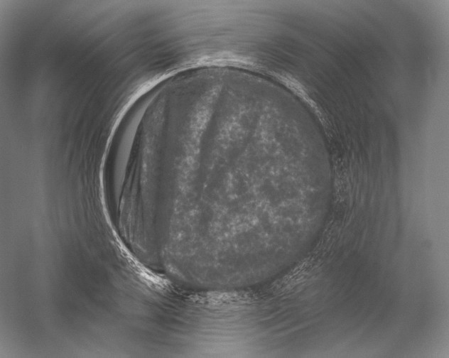 X0000055971032200509091438