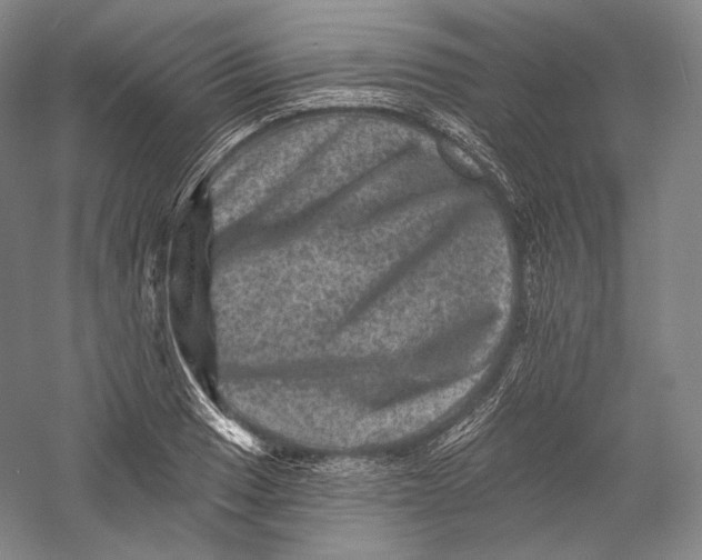 X0000055971033200509091438