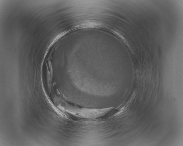 X0000055971034200509091439