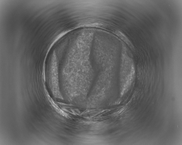 X0000055971036200509091439