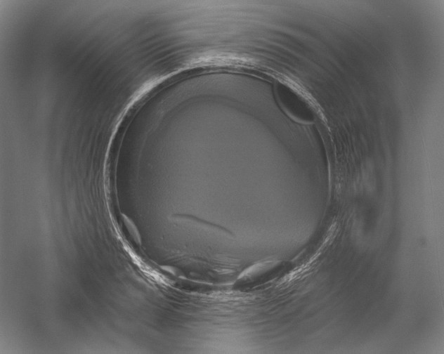 X0000055971037200509091439