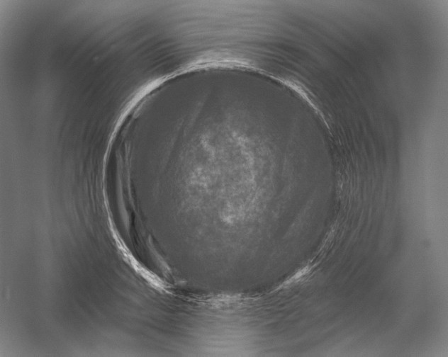 X0000055971038200509091439