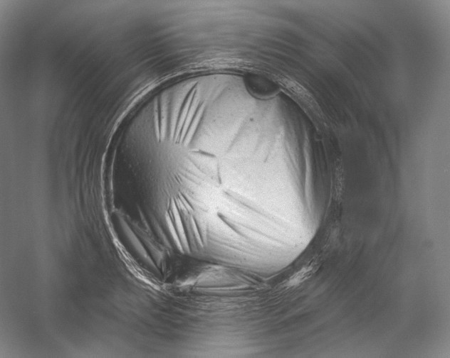 X0000055971039200509091439