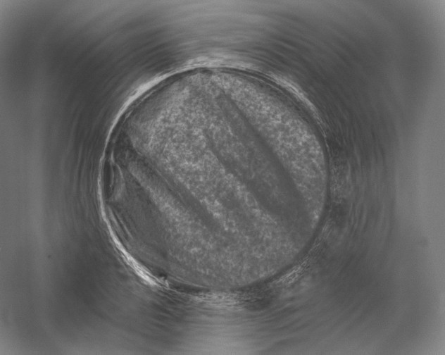 X0000055971040200509091439