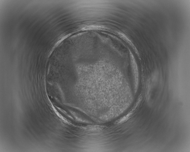 X0000055971041200509091439