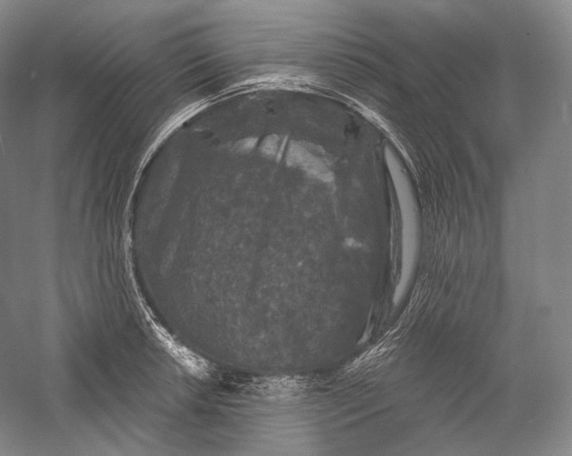 X0000055971042200509091439