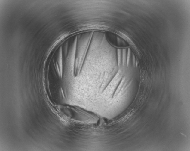 X0000055971043200509091439