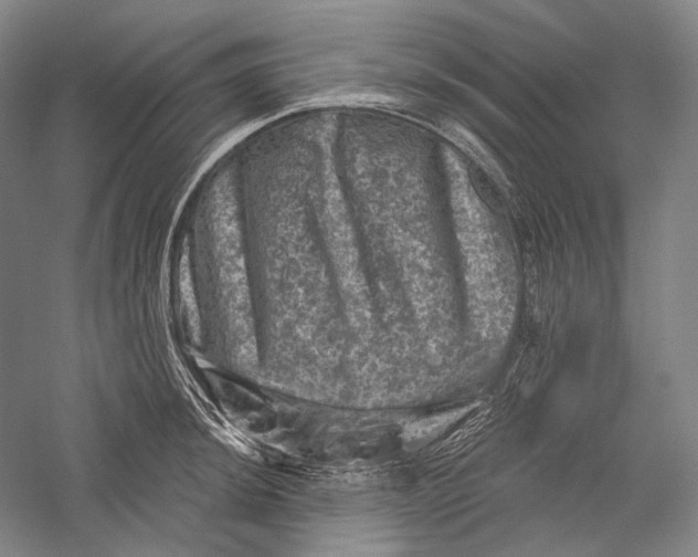 X0000055971044200509091439