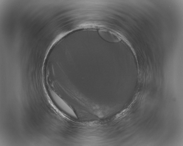 X0000055971045200509091439