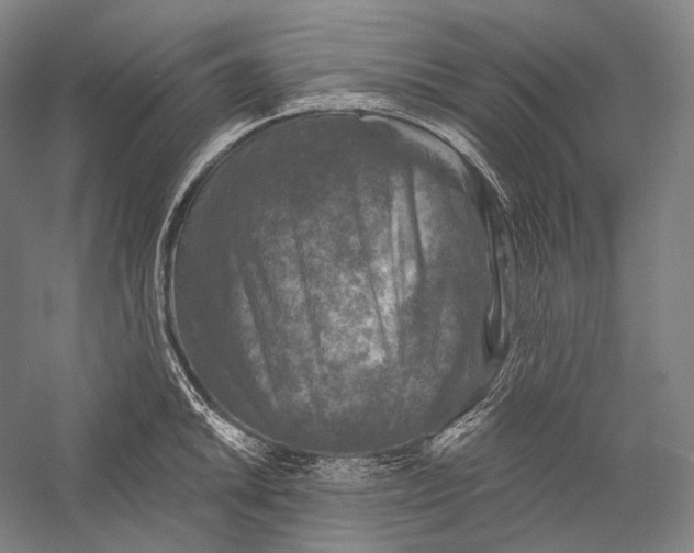 X0000055971046200509091439