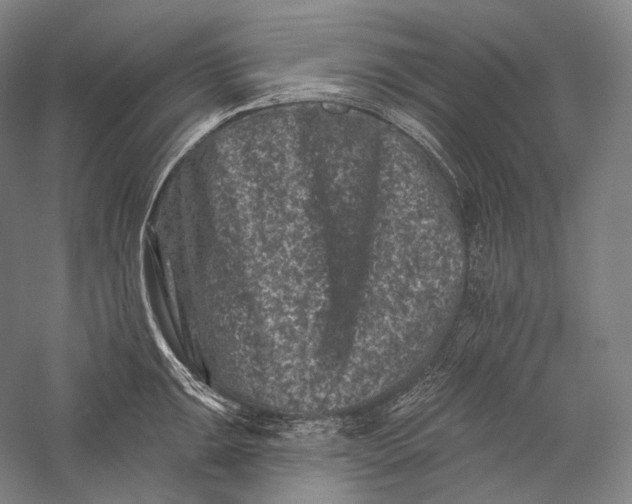 X0000055971047200509091439