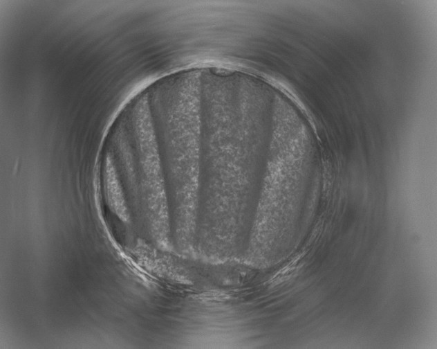 X0000055971048200509091439