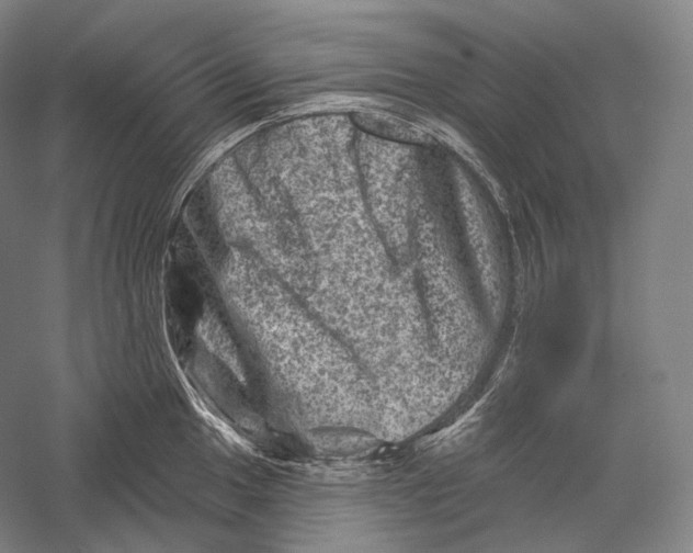 X0000055971049200509091439