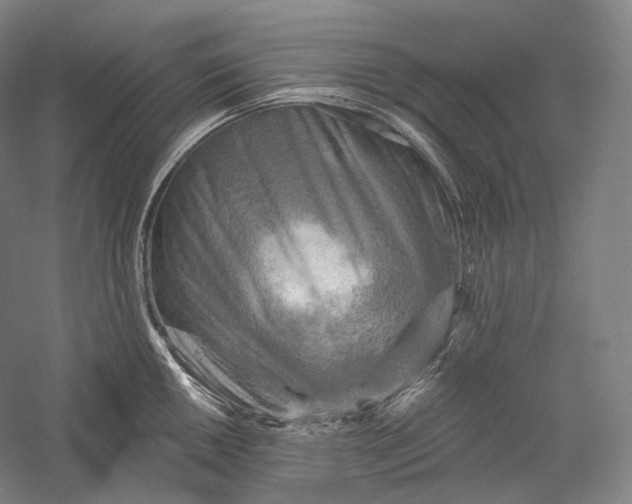 X0000055971050200509091439