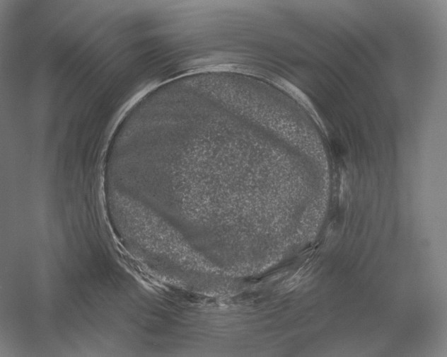 X0000055971051200509091439