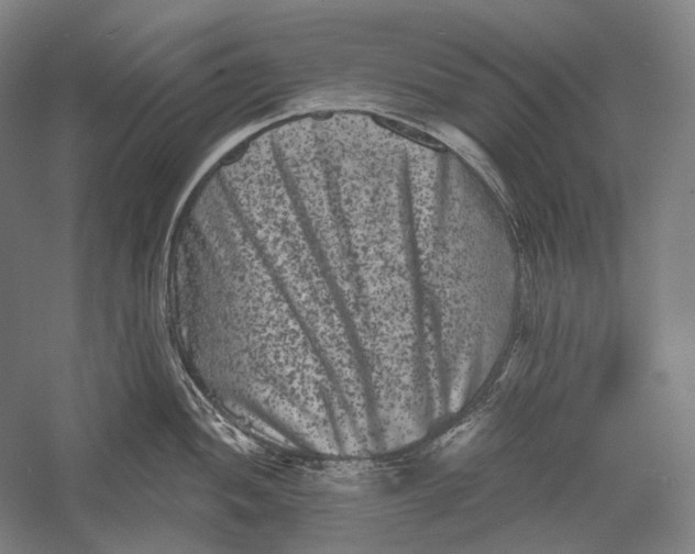 X0000055971052200509091439