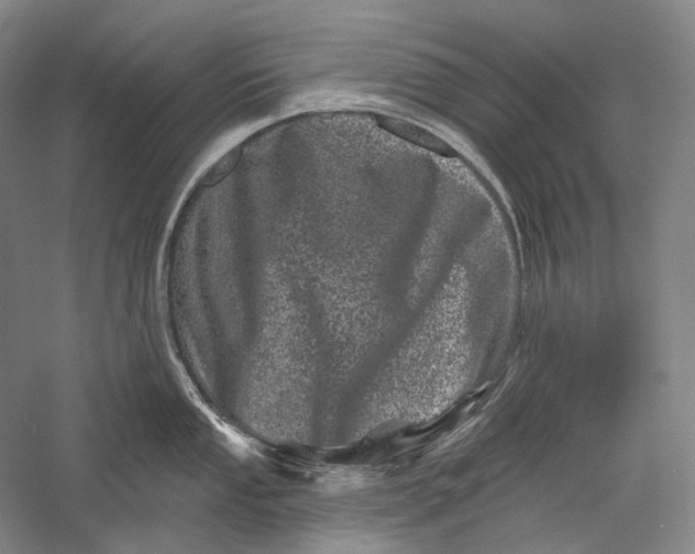 X0000055971053200509091439