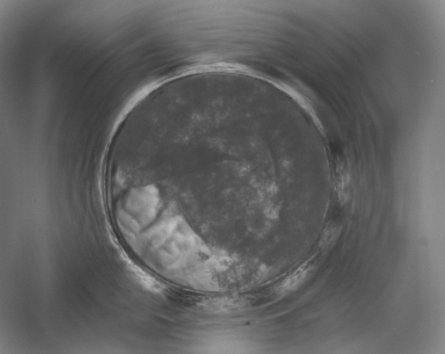 X0000055971054200509091439