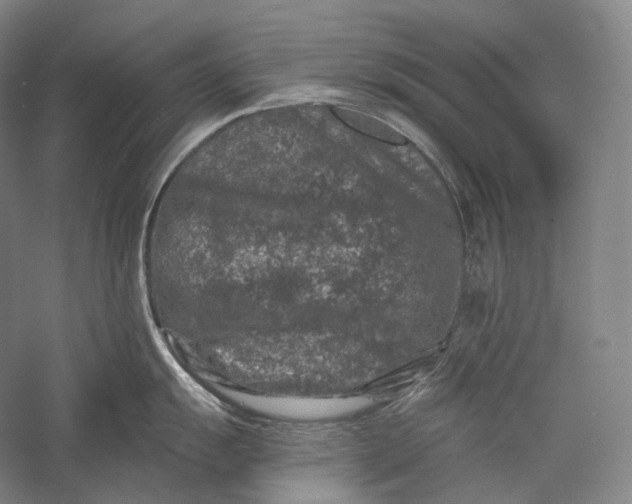 X0000055971055200509091439