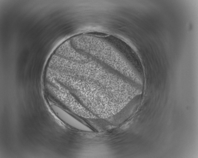 X0000055971056200509091439