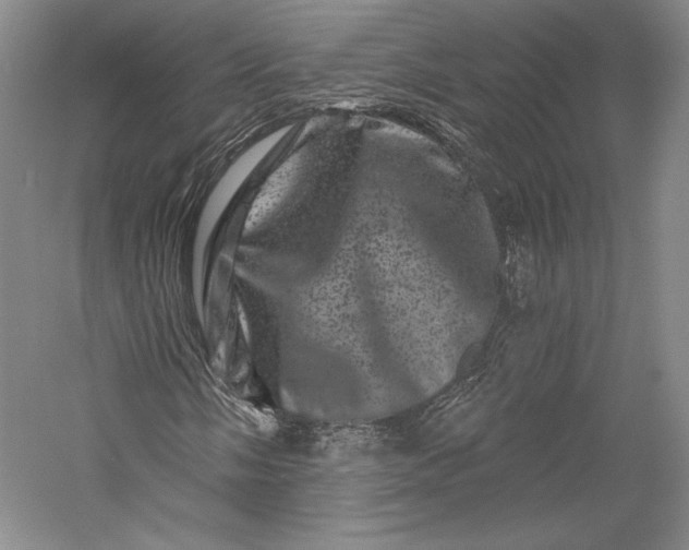 X0000055971058200509091438