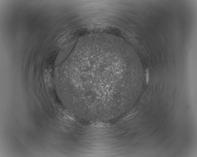 X0000055971059200509091438