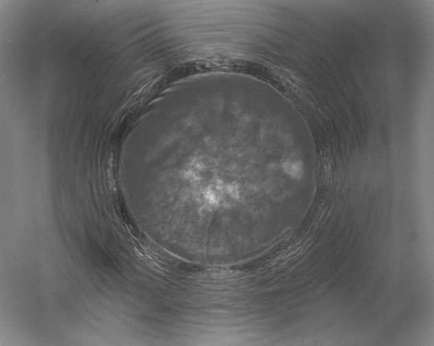 X0000055971060200509091438