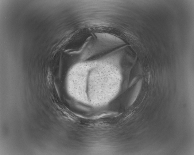 X0000055971061200509091438