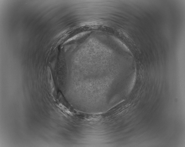 X0000055971062200509091438