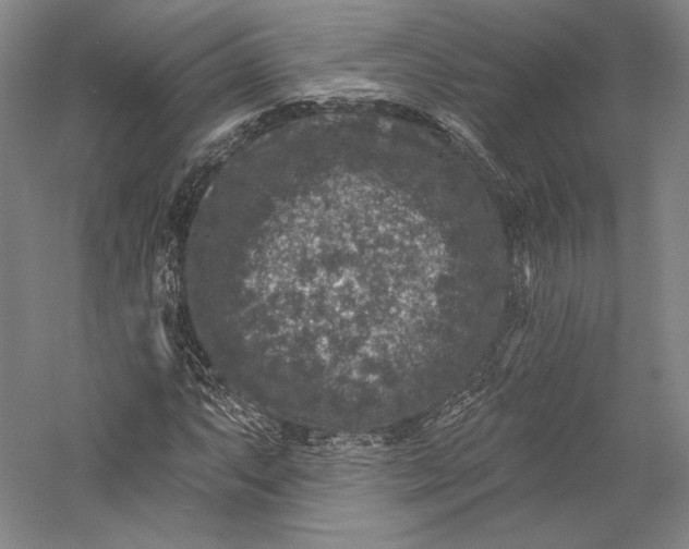 X0000055971063200509091438