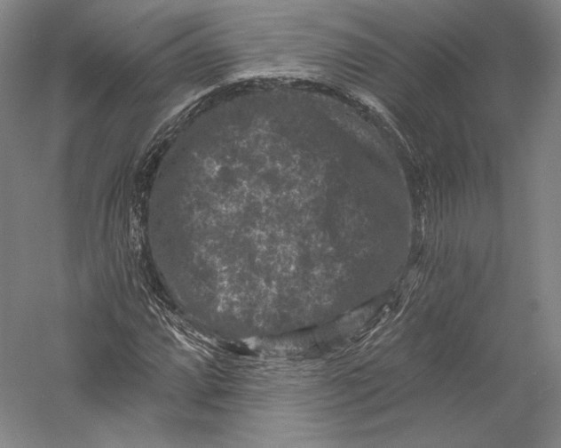 X0000055971064200509091438