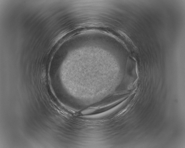 X0000055971065200509091438