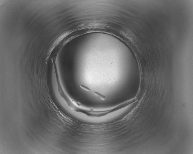 X0000055971066200509091438