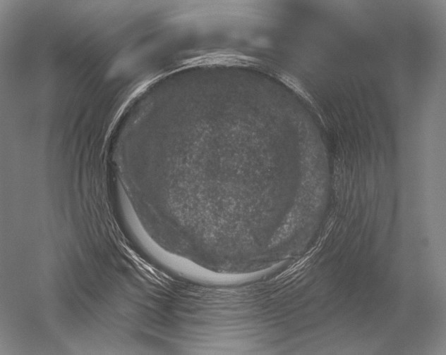 X0000055971067200509091438