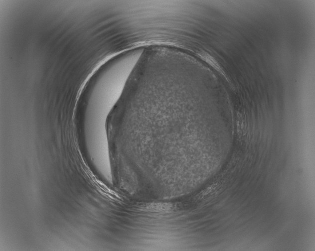 X0000055971068200509091438