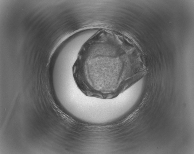 X0000055971069200509091438