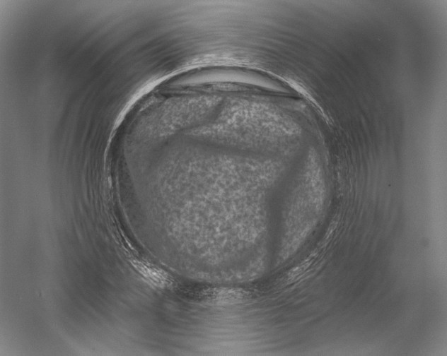 X0000055971070200509091438