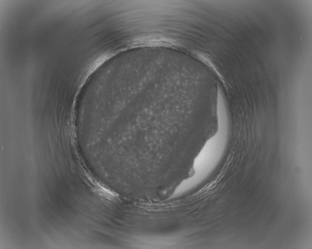 X0000055971071200509091438