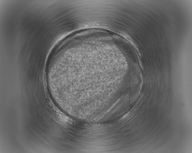 X0000055971072200509091438