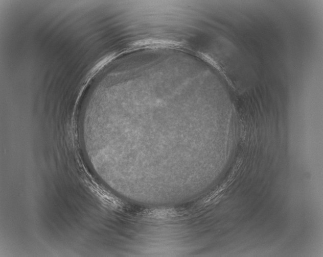 X0000055971074200509091438