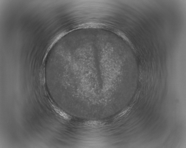 X0000055971075200509091438