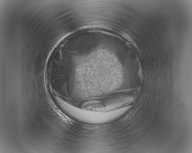 X0000055971076200509091438