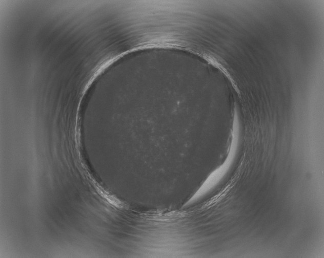 X0000055971077200509091438