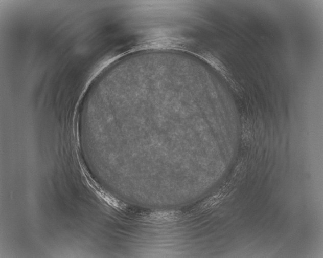 X0000055971078200509091438