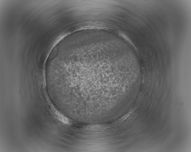 X0000055971079200509091438