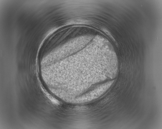 X0000055971080200509091438