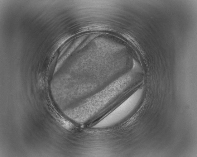 X0000055971081200509091438